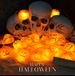 LED Pumpkin String Lights 11 FT Halloween Decoration Light Battery Operated With Timer Function For Halloween Thanksgiving Party Home Decoration_maomaolike.com