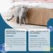 Yegbong Indoor Cat Repellent Spray Pet Repellent To Keep Cats Out Of Bed Indoor Cat Repellent Spray_maomaolike.com