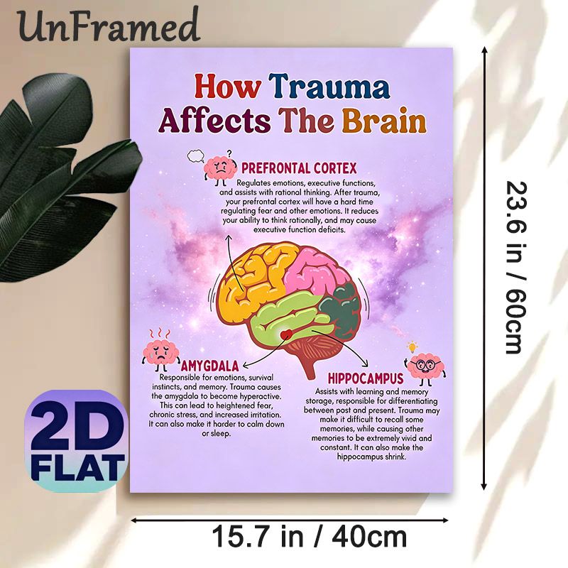 Trauma & Brain Educational Painting Poster, Colorful Cartoon-style Brain Anatomy Poster, Informative Guide On Trauma's Impact On Brain Functions_maomaolike.com