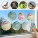 Repellent Reflective Sticker Garden Bird Control Round Pate Tape Anti Pigeon Woodpecker Holographic Adheive Scare_maomaolike.com