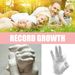 Jue Fish Keepsake Hands, Valentine's Day Anniversary Souvenir Model DIY Children's Day Gift_maomaolike.com