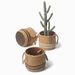 Nordic Style|Cement Flower Pot Retro Woven Basket Style Simple Creative Potted Plant Green Radish Round Fashionable_maomaolike.com