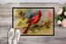 Cardinal Doormat Front Door Mat Indoor Outdoor Rugs For Entryway, Non Slip Washable Low Pile, 24H X 36W_maomaolike.com