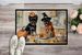 Affenpinscher Fall Kitchen Pumpkins Doormat Front Door Mat Indoor Outdoor Rugs For Entryway, Non Slip Washable Low Pile, 24H X 36W_maomaolike.com
