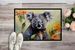 Koala Doormat Front Door Mat Indoor Outdoor Rugs For Entryway, Non Slip Washable Low Pile, 24H X 36W_maomaolike.com