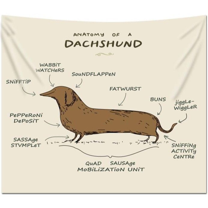 Nordic INS Style Dax Background Hanging Niche Cartoon Decorative Tapestry Bedroom Wall Renovation Dormitory Cloth_maomaolike.com