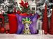 Whippet King Of Mardi Gras Throw Pillow Machine Washable, Indoor Outdoor Decorative Pillow For Couch, Bed Or Patio, 14Hx14W_maomaolike.com