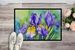 Tennessee Iris In Watercolor Doormat Front Door Mat Indoor Outdoor Rugs For Entryway, Non Slip Washable Low Pile, 24H X 36W_maomaolike.com