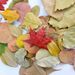 Natural Real Leaves Bookmark Plant Specimen Shooting Props Kindergarten DIY Handmade Dried Flowers Graffiti_maomaolike.com
