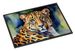Leopard Doormat Front Door Mat Indoor Outdoor Rugs For Entryway, Non Slip Washable Low Pile, 24H X 36W_maomaolike.com