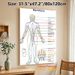 Meridian Chart Painting Poster, Clear Color-coded Human Meridian Map Poster, Informative Reference For Traditional Chinese Medicine Learning, Suitable_maomaolike.com