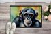 Chimpanzee Doormat Front Door Mat Indoor Outdoor Rugs For Entryway, Non Slip Washable Low Pile, 24H X 36W_maomaolike.com