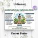 Agricultural Entomologist Painting Poster, Informative Educational Infographic Poster, Detailed Career Guide For Crop Insect Studies, Ideal For_maomaolike.com