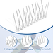 Stainess Stee Pigeon Squirre Repeer Deterrent Nai Toos Contro Pest Bird Spikes For Roof Fence Bacony Window_maomaolike.com