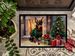 Miniature Pinscher Cozy Christmas Doormat Front Door Mat Indoor Outdoor Rugs For Entryway, Non Slip Washable Low Pile, 24H X 36W_maomaolike.com