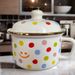 Thickened Enamel Fast Cup Instant Noodle Old-fashioned Nostalgic Rice Bowl Adult Office Worker Food Grade_maomaolike.com