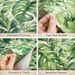 Green Botanical Peel & Stick Walll Decorlpaper – Tropical Leaf Design, Waterproof, Removable, Easy DIY Wall Decor_maomaolike.com