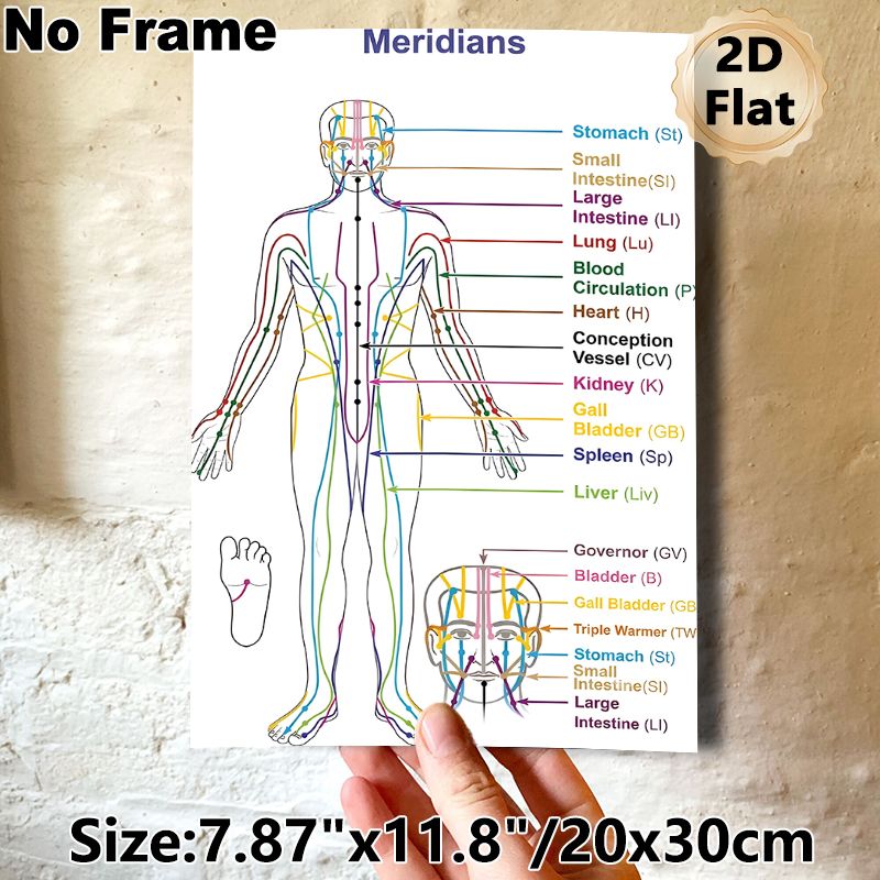 Meridian Chart Painting Poster, Clear Color-coded Human Meridian Map Poster, Informative Reference For Traditional Chinese Medicine Learning, Suitable_maomaolike.com