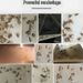 Pest Pheromone Moth Killer Insect Catcher Fly Sticky Traps Garden Pantry Food Flycatcher Sticker Plate Trap_maomaolike.com