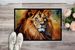 Lion Doormat Front Door Mat Indoor Outdoor Rugs For Entryway, Non Slip Washable Low Pile, 24H X 36W_maomaolike.com