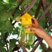 1/10pcs Garden Fruit Fly Trap Plastic Transparent Anti Flies Traps Environmentally Insect Catchers Orchard Pest Control_maomaolike.com