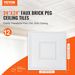 VEVOR Ceiling Tiles 12-Pack 24 X 24 In PVC Easy Installation White Geometric_maomaolike.com