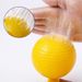 Strong Sticky Fly Trap Indoor Outdoor Fruit Insect Catcher Non Toxic Glue Ball Garden Lawn Travel Portable Pest Control_maomaolike.com