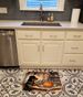 Rottweiler Fall Kitchen Pumpkins Memory Foam Kitchen Mat Machine Washable Anti-Fatigue Mat Cushion Comfort Bath Mat Or Kitchen Rug_maomaolike.com