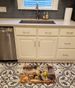 Yellow Lab Fall Kitchen Pumpkins Memory Foam Kitchen Mat Machine Washable Anti-Fatigue Mat Cushion Comfort Bath Mat Or Kitchen Rug_maomaolike.com