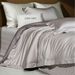 Minimalist Light Luxury Style Tencel Cotton Brushed Four-Piece Set Quilted Bed Cover Bedding Home Textile Dream Of The Galaxy_maomaolike.com