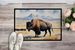 Prairie Bison Doormat Front Door Mat Indoor Outdoor Rugs For Entryway, Non Slip Washable Low Pile, 24H X 36W_maomaolike.com