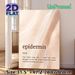 Epidermis Definition Painting Poster, Minimalist Soft-toned Text Art Poster, Informative Quirky Body Science Decor Idea For Bathroom, Bedroom Or_maomaolike.com