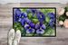 Rhode Island Violets In Watercolor Doormat Front Door Mat Indoor Outdoor Rugs For Entryway, Non Slip Washable Low Pile, 24H X 36W_maomaolike.com