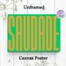 Saudade Typography Painting Poster, Vibrant Bold Minimalist Typographic Poster, Eye-catching Word Art Decor Idea For Living Room, Bedroom, Office_maomaolike.com
