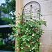 2 Pack Metal Garden Trellis For Climbing Plants Outdoor 86.7'' X 19.7'' Rustproof Plant Support Rose Trellis Netting Trellis Black_maomaolike.com