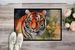 Tiger Doormat Front Door Mat Indoor Outdoor Rugs For Entryway, Non Slip Washable Low Pile, 24H X 36W_maomaolike.com