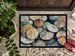Sand Dollars Doormat Front Door Mat Indoor Outdoor Rugs For Entryway, Non Slip Washable Low Pile, 24H X 36W_maomaolike.com