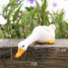 Outdoor Simulation Animal Drinking Water Spray Resin Duck Ornament Decoration Garden Courtyard Rockery Pond Landscape_maomaolike.com