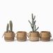 Nordic Style|Cement Flower Pot Retro Woven Basket Style Simple Creative Potted Plant Green Radish Round Fashionable_maomaolike.com