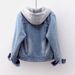 Women's Clothing Velvet Thickened Cotton Cotton Coat Removable Hooded Warm Lambswool Cotton Coat Short Style_maomaolike.com