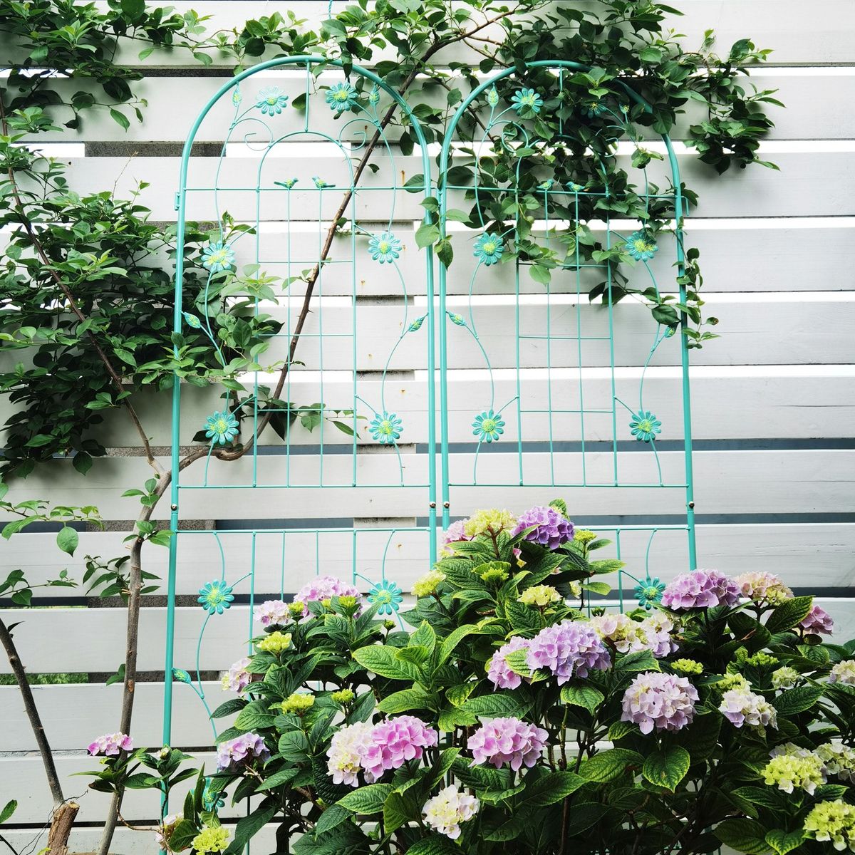 4 Pack Metal Garden Trellis 71" X 19.7" Rustproof Trellis For Climbing Plants Outdoor Flower Support Light Green_maomaolike.com