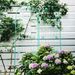4 Pack Metal Garden Trellis 71" X 19.7" Rustproof Trellis For Climbing Plants Outdoor Flower Support Light Green_maomaolike.com