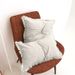 Home Furniture Washed Cotton Pillowcase Without Core Modern Simple Living Room Sofa Pillow Cushion Cover_maomaolike.com