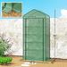 5 Tier Mini Greenhouse, Small Portable Greenhouse With PE Cover, Roll-Up Zippered Door, 76" X 35.4" X 19.3", Green_maomaolike.com