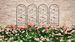 4 Pack Metal Garden Trellis 86.7" X 19.7" Rustproof Trellis For Climbing Plants Outdoor Flower Support Bird Deco Black_maomaolike.com