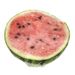 Disposable Food Cover Plastic Wrap Elastic Food Lids For Fruit Bowls Cups Caps Storage Kitchen Fresh Keeping Saver Bag_maomaolike.com