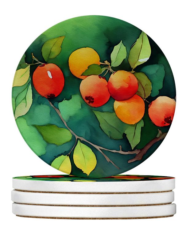 Missouri Hawthorns In Watercolor Large Sandstone Coasters Pack Of 4 Absorbent Round Coasters Decor Gifts For Men Or Women, 4 In, Multicolor_maomaolike.com