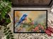 Bluebird Doormat Front Door Mat Indoor Outdoor Rugs For Entryway, Non Slip Washable Low Pile, 24H X 36W_maomaolike.com