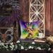 Airedale Terrier King Of Mardi Gras Throw Pillow Machine Washable, Indoor Outdoor Decorative Pillow For Couch, Bed Or Patio, 14Hx14W_maomaolike.com