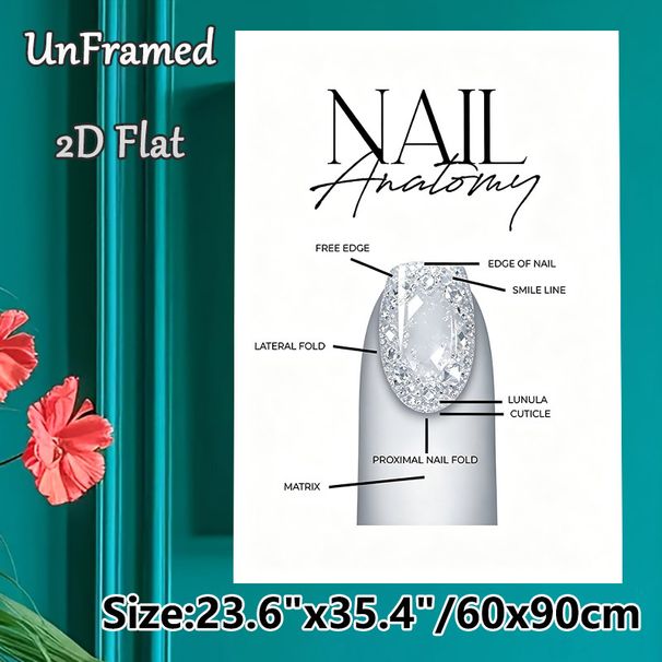 Nail Anatomy Painting Poster, Sleek Clear Nail Structure Diagram Poster, Informative Nail Anatomy Guide Ideal For Nail Salon, Beauty Studio_maomaolike.com